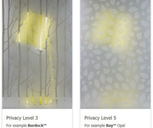 privacy glass 3-5 privacy glass 3-5